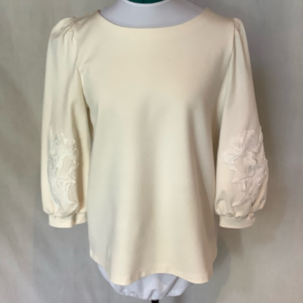 Ann Taylor Cream Blouse with appliqué design on the Sleeves